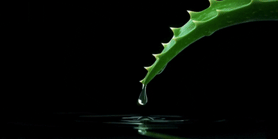 1_6bd27a05-1b3a-49a6-9e8b-e82f90526dff.gif
